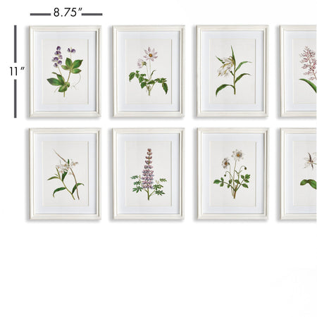 Les Fleurs Petite Framed Prints dimensions