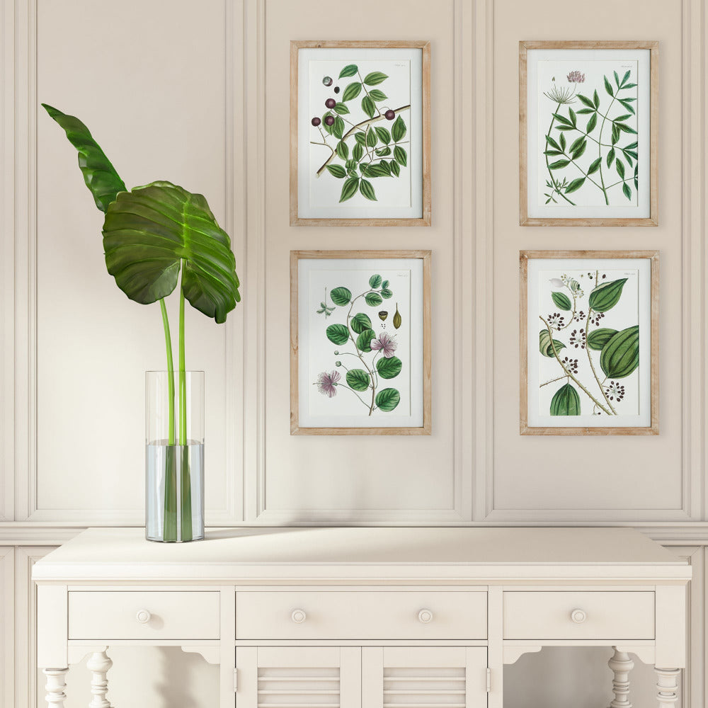 Verdant Branch Framed Prints styled on wall