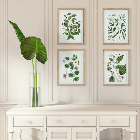 Verdant Branch Framed Prints styled on wall