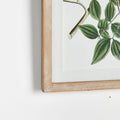 Verdant Branch Framed Prints - light wood frame closeup