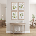 Orchid Study Framed Prints above console table