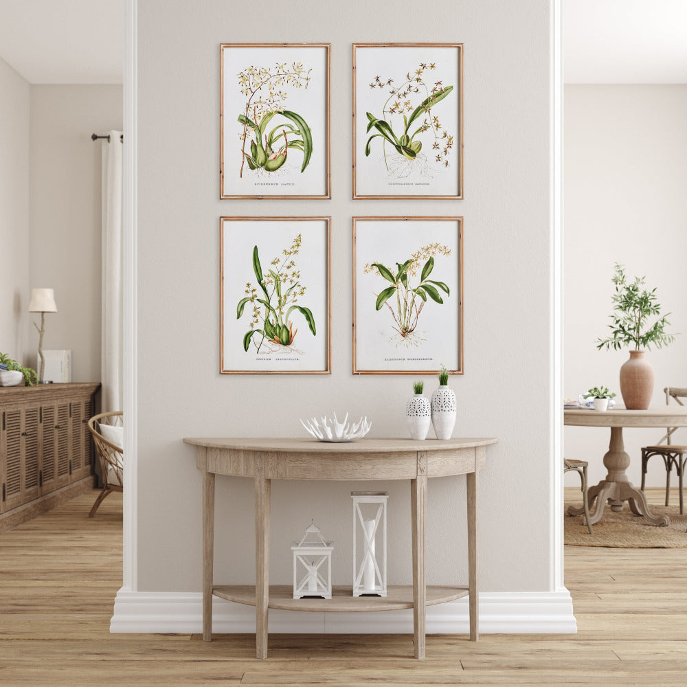 Orchid Study Framed Prints above console table
