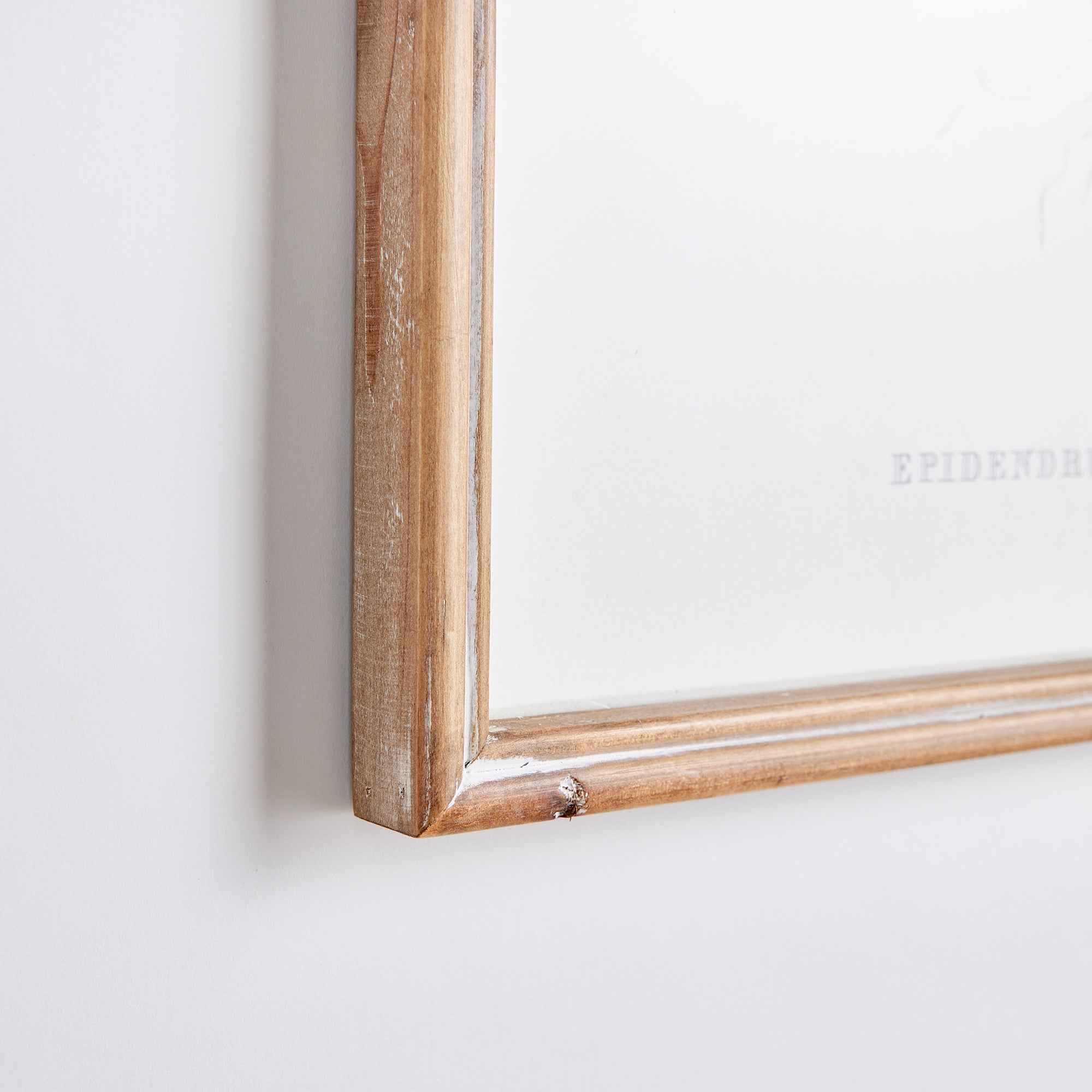 Orchid Study Framed Prints - fir wood frame