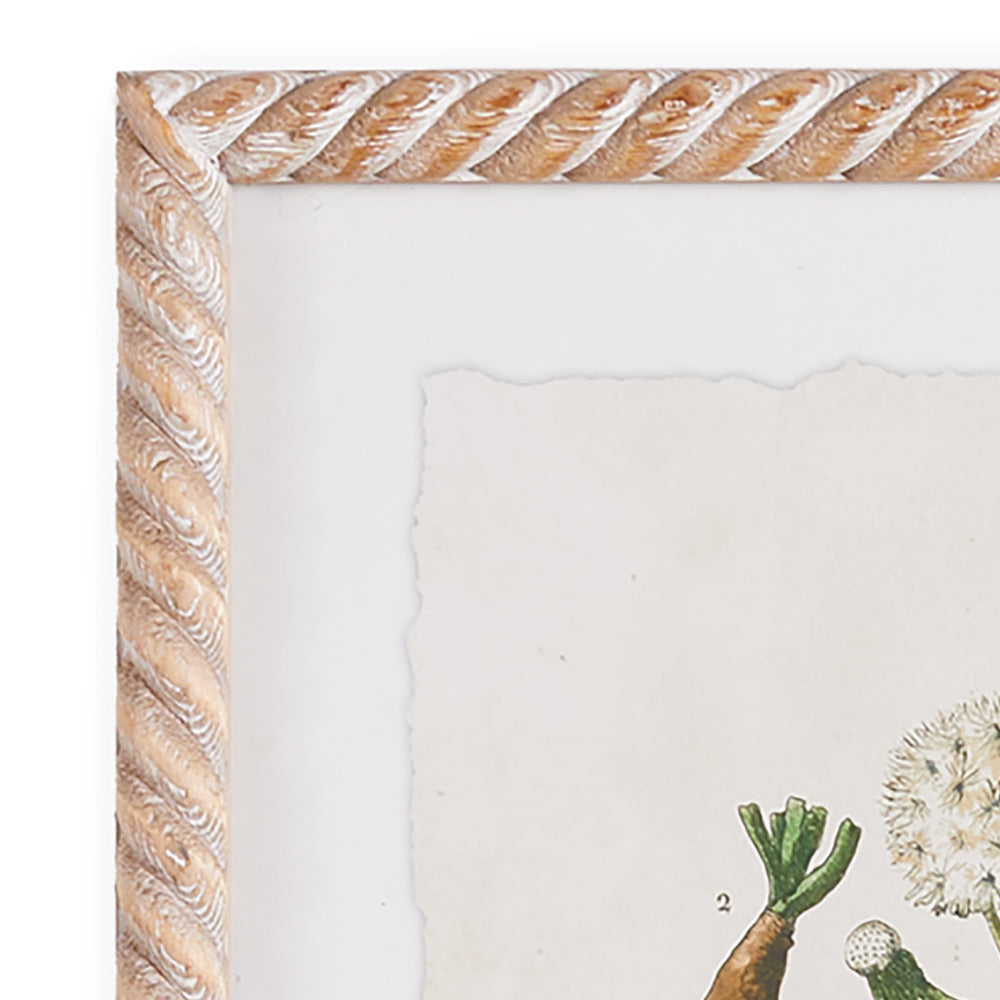 Botanical Study Framed Prints - wood frame closeup