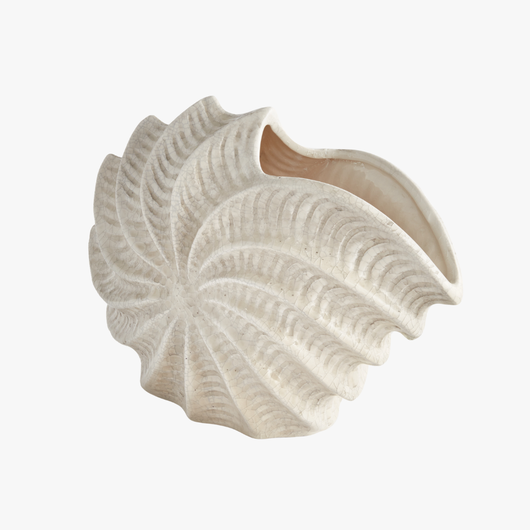 Nautilus Shell Vase