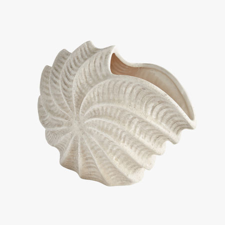 Nautilus Shell Vase