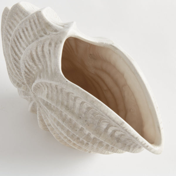 Nautilus Shell Vase closeup
