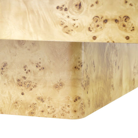 Northrop Burl Wood Coffee Table Closeup Details