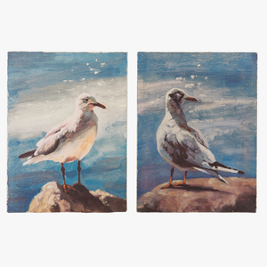 Pair of Seagulls on Canvas