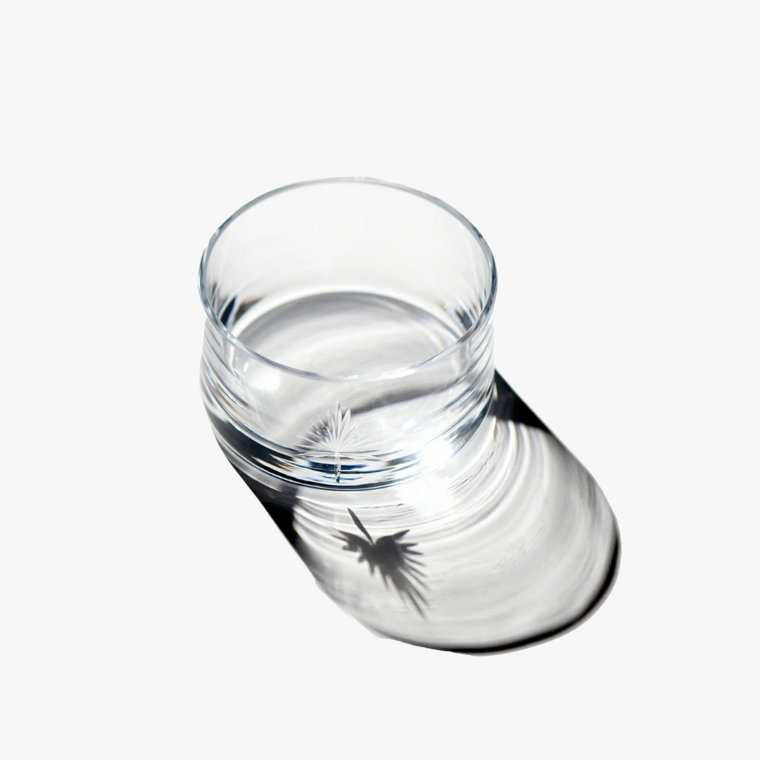 Palmetto Wine Coaster - etched glass - palm tree