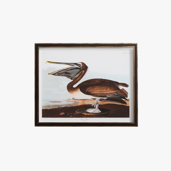 Pelican Bookplate Print