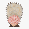 Playa Shell Candle Sconce