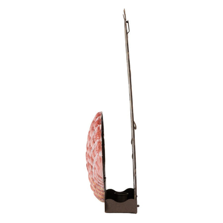 Playa Shell Candle Sconce side view