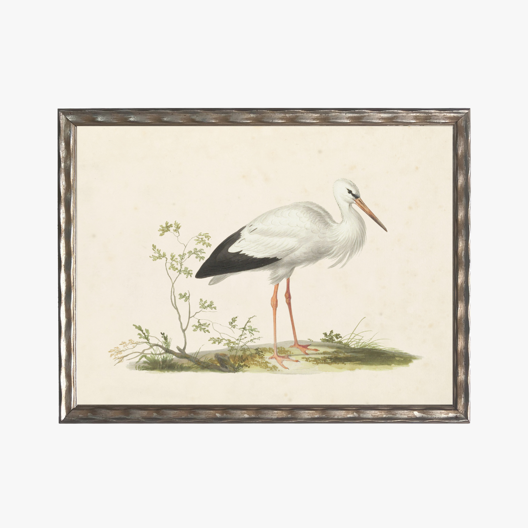 Framed Waterbird II Bookplate Print