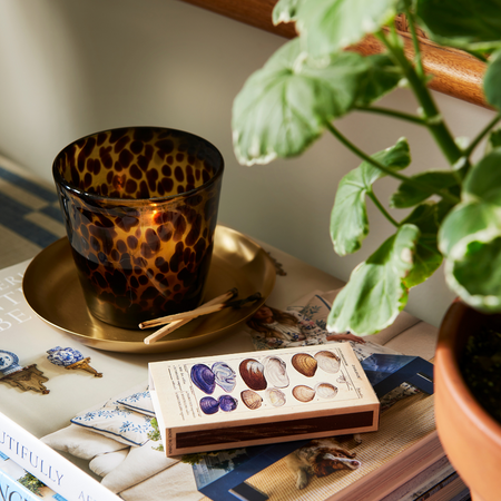 eSahara Tortoise Candle on Brass Tray with Seashell Matches