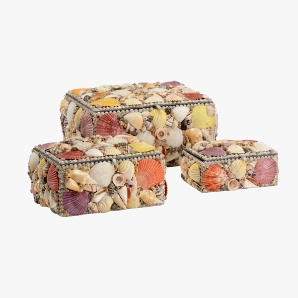 Sanibel Mixed Shell Box Set