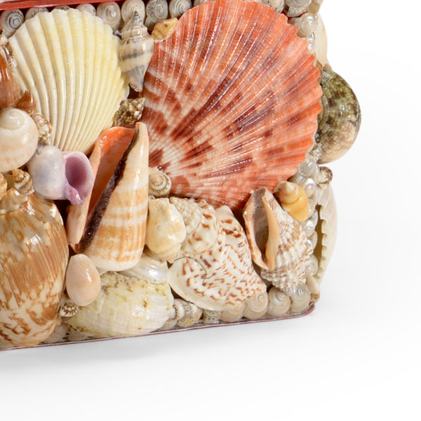 Sanibel Mixed Shell Box closeup