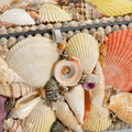Sanibel Mixed Shell Box closeup