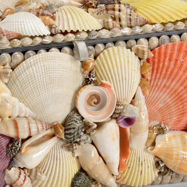 Sanibel Mixed Shell Box closeup