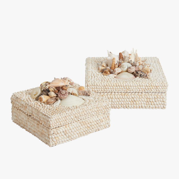 Sanibel Shell Box Set