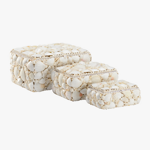 Sanibel White Shell Box Set