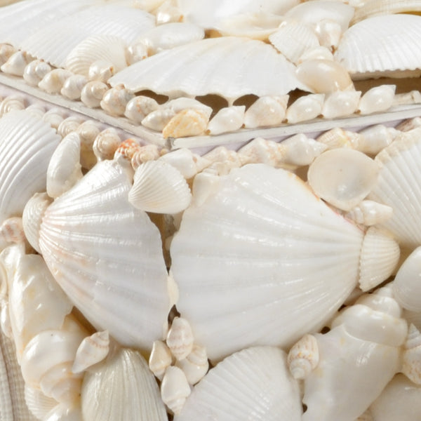 Sanibel White Shell Box Set Closeup