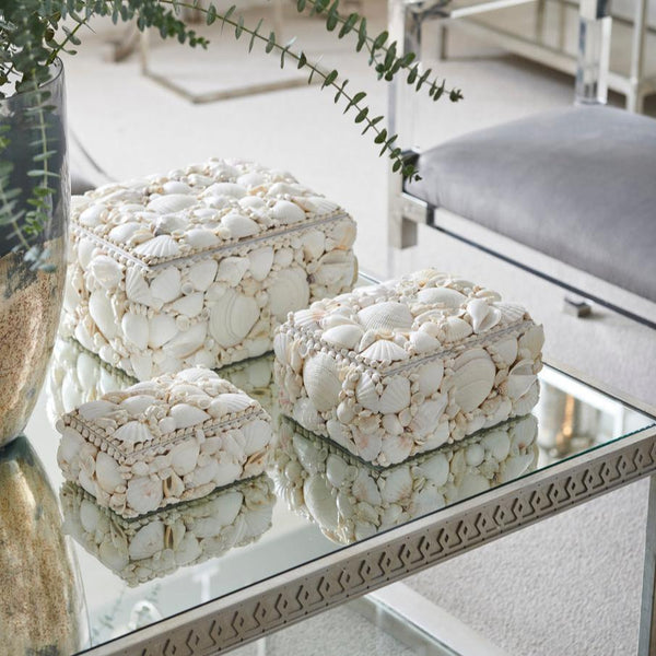 Sanibel White Shell Box Set on mirrored coffee table