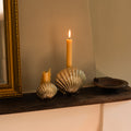 Brass Shell Candle Holders - small and large size