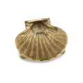 Recycled Brass Shell Trinket Dish