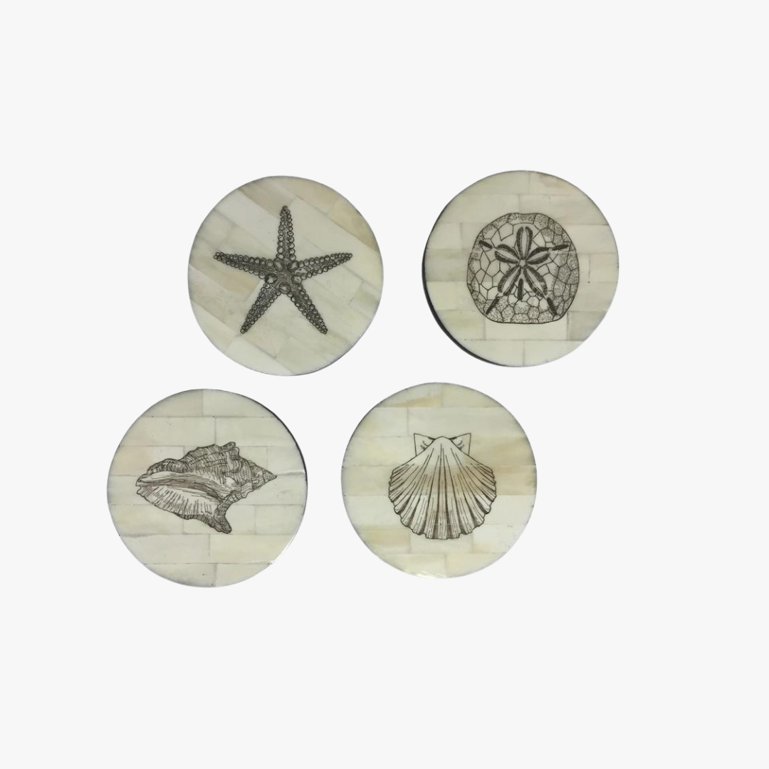 Scrimshaw Shell Coaster Set - Classic Coastal Decor - Dear Keaton