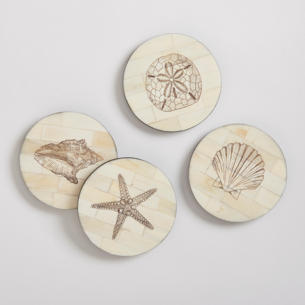 Scrimshaw Shell Coaster Set - conch, starfish, clam and sand dollar