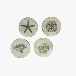 Scrimshaw Shell Coaster Set