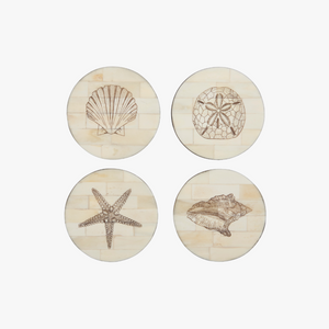 Scrimshaw Shell Coaster Set