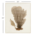 Sea Fan Giclee Fir Wood Frame dimensions