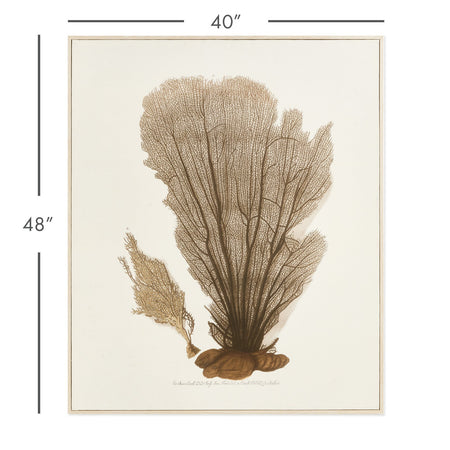 Sea Fan Giclee Fir Wood Frame dimensions