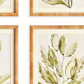 Sea Fern Framed Prints - wrapped rattan frames 