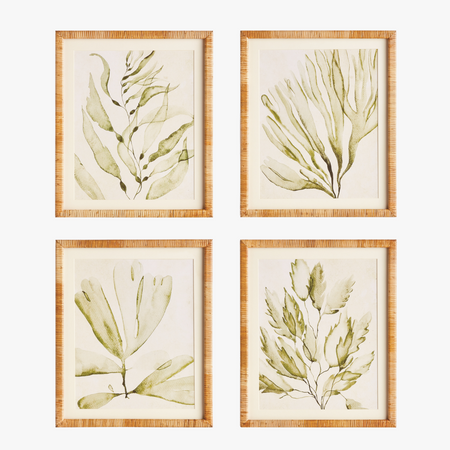 Sea Fern Framed Prints