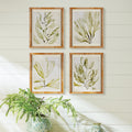 Sea Fern Framed Prints styled on white paneled wall