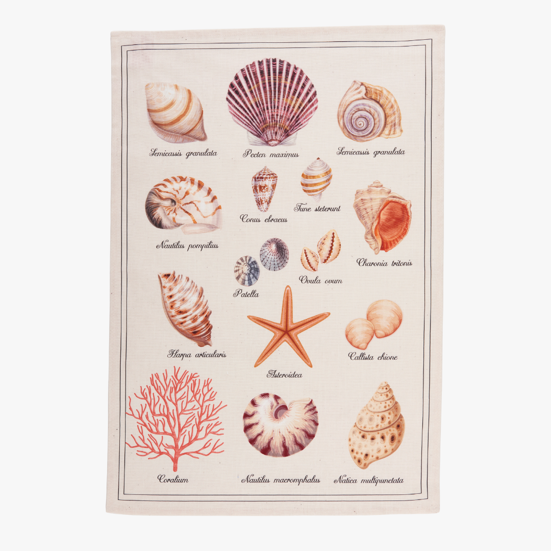 Seashells Tea Towel