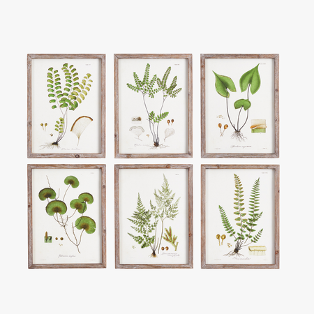 Shade Garden Study Framed Prints - fir wood frames