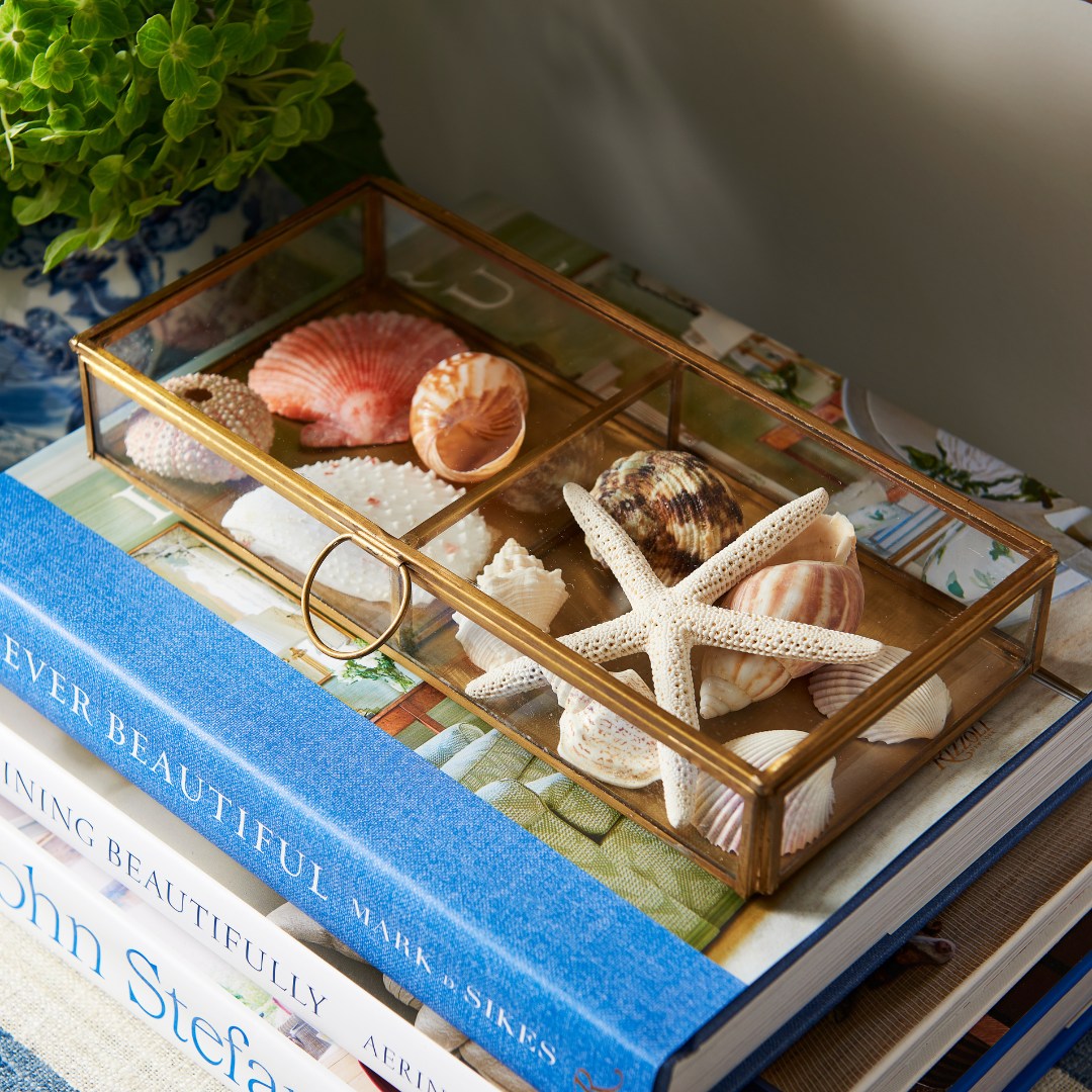 Small Brass & Glass Display Box with shell collection
