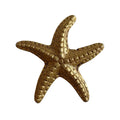 Solid Brass Starfish Paper Weight Closeup - Coastal Decor