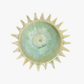 Sunburst Reactive Glaze Bowl