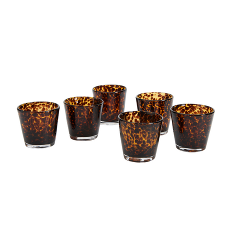 Tortoise Tumbler Glass Set of six glasses - Dear Keaton