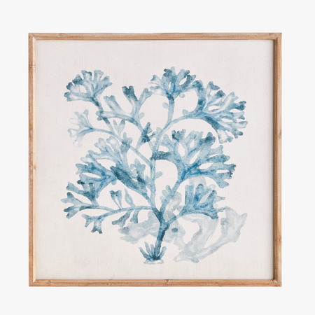 Translucent Blue Coral Framed Print