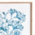 Translucent Blue Coral Framed Print corner closeup