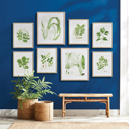 Tree Leaf Study Framed Prints - set of six styled on blue wall