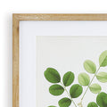 Tree Leaf Study Framed Prints -mat and frame closeup