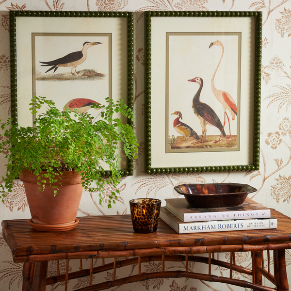 Wild Bird Prints