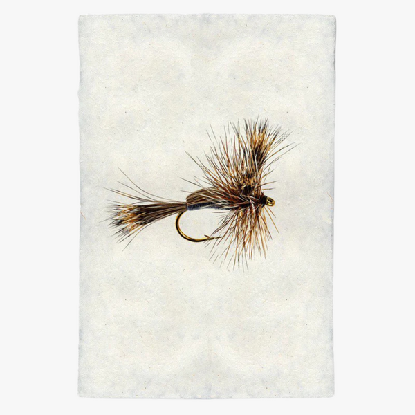 Humpy Fishing Fly Print